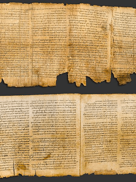 UNEXPECTED DISCOVERY